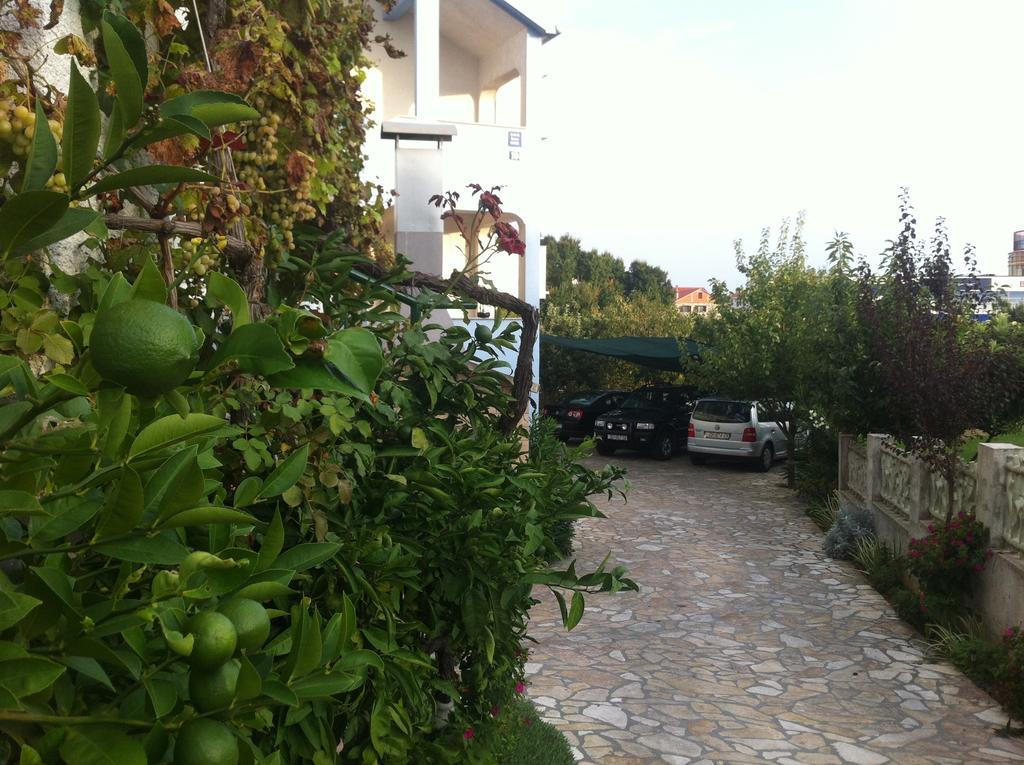 Guest House Ana Zara Esterno foto